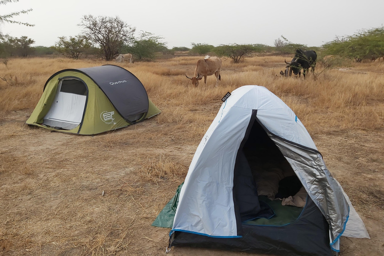 Saloum Delta: 3 days of adventure in the middle of nature, camping on a desert island Saloum Delta: Camping and Adventure