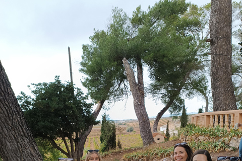 Valencia: Utiel-Requena Wine Tour with Tapas and Wines