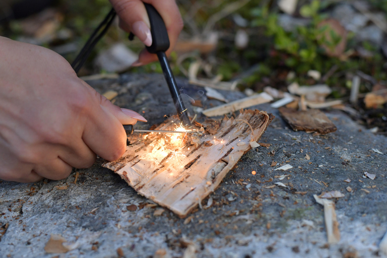 Abisko: Arctic Fireside Waffles Experience