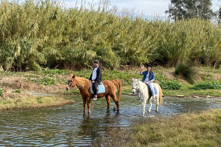 Málaga: Guided tour on horseback in the Guadalhorce ValleyMalaga: Guided tour on horseback through the Guadalhorce Valley in English