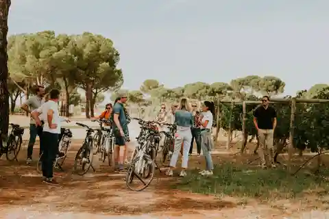 Visita en bicicleta eléctrica y picnic en una finca vinícola exclusiva