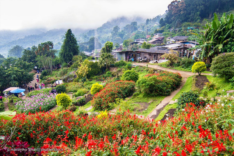 Chiang Mai: Doi Suthep und Hmong Dorf Halbtagestour