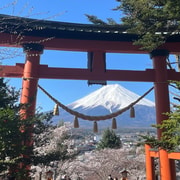 Fuji's Water, Tea & Village Life - Private Local Experience