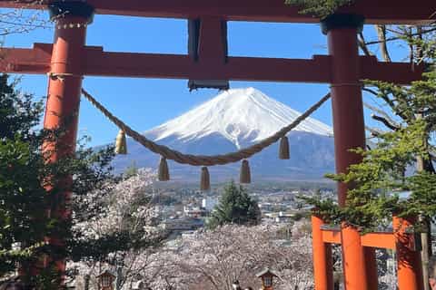 Fuji's Water, Tea & Village Life - Private Local Experience - Image 3