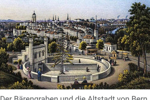 Bern: Private Walking Tour with a Scientist and Ex-Pilot