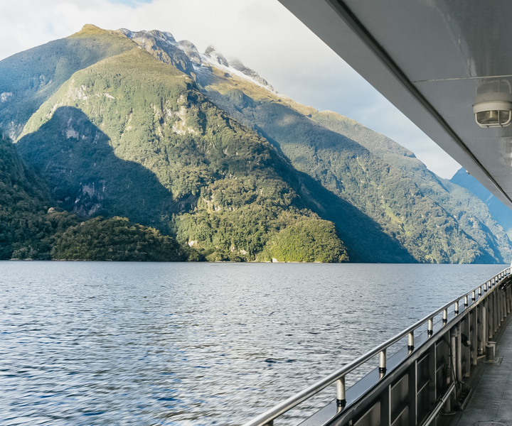 From Manapouri: Premium Doubtful Sound Wilderness Day Trip