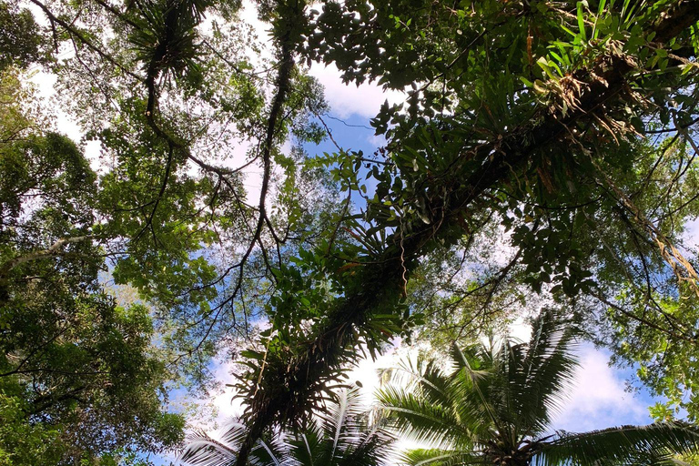 Escursione acquatica nella foresta pluviale