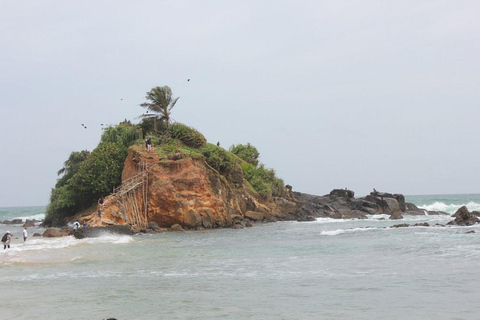 From Colombo: Mirissa Coconut Tree Hill, Beach & Rock Tour