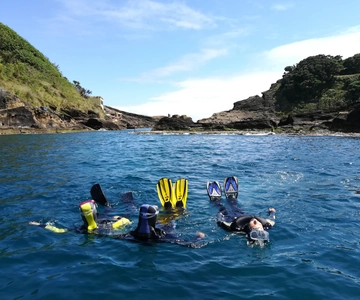 Vila Franca do Campo: Passeio de mergulho com snorkel