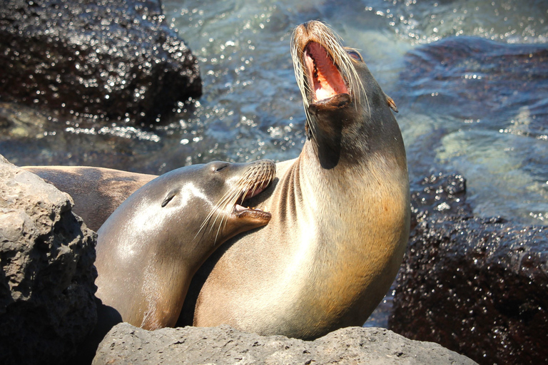 GALÁPAGOS: Island hopping trip, including Quito 12 days GALÁPAGOS: Island Hopping Tour, including Quito 12 days