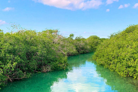 Sian Ka&#039;anTour vanuit Tulum