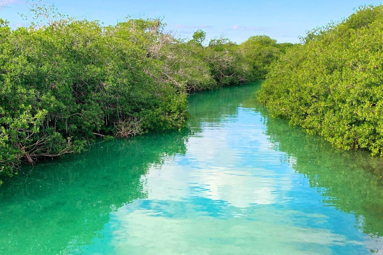 Sian Ka&#039;anTour vanuit Tulum