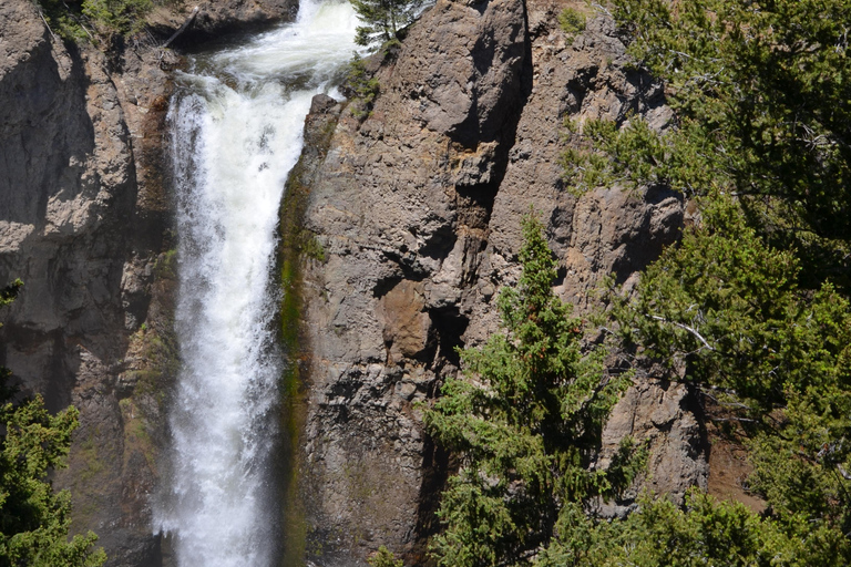 Yellowstone 2 Day Adventure - Upper and Lower Loop Tour
