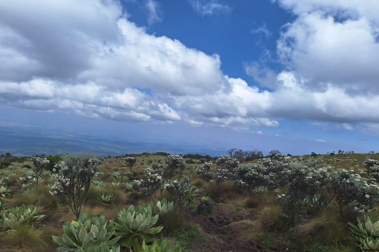 À la conquête du mont KenyaTraversée de 4 jours de Chogoria à Sirimon