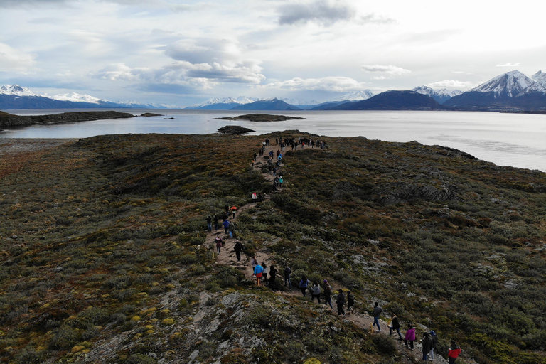 Ushuaia: Navigation through Beagle Channel & Bridges Islands