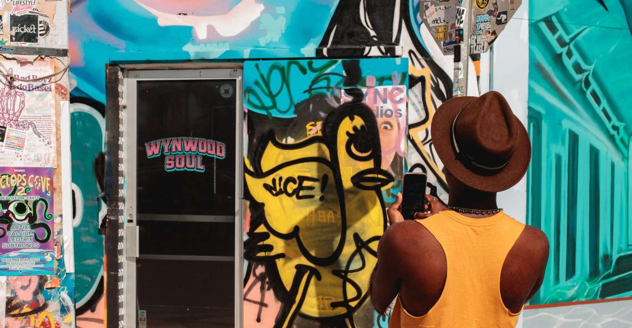Wynwood Walls Street Art & Neighborhood Walking Tour