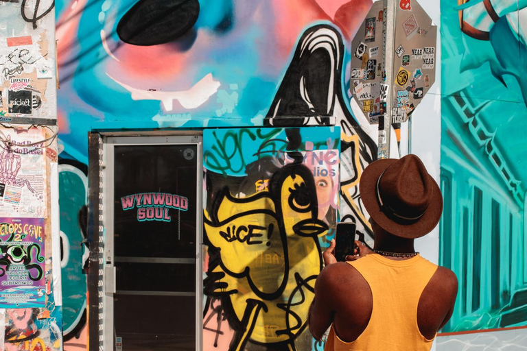 Wynwood Walls Street Art & Neighborhood Walking Tour
