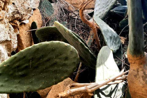 Gozo al Descubierto: Tour guiado de senderismo con búlder