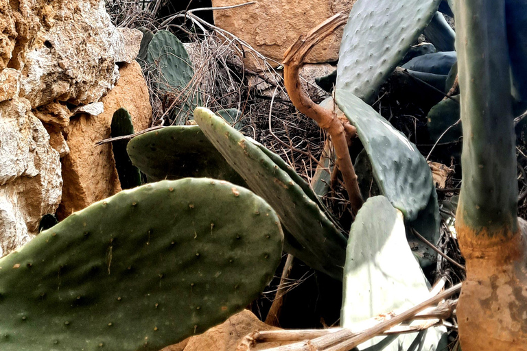 Gozo Ontsluierd: Wandeltocht met gids en boulderen