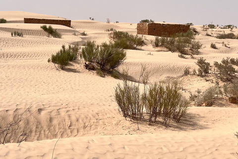 Fördjupning i Sahara: 2-nätters äventyr med läger och bivuak