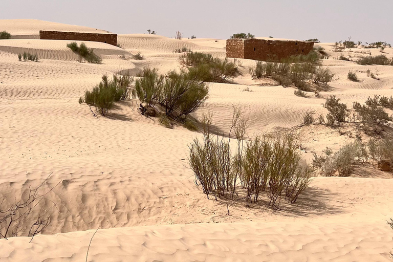 Fördjupning i Sahara: 2-nätters äventyr med läger och bivuak