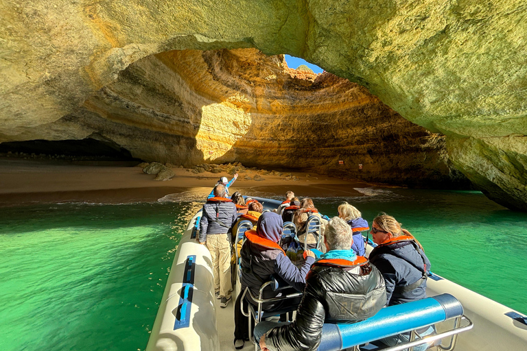 Combo: Benagil & Dolphins Boat Tour w/ Marine Biologists