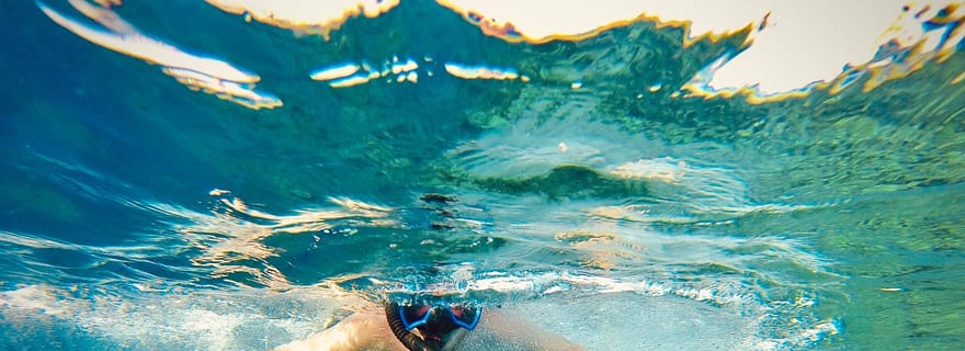 Au départ du Caire : Excursion de plongée en apnée sur un yacht avec déjeuner