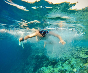 Dal Cairo: Escursione di snorkeling in barca con pranzo