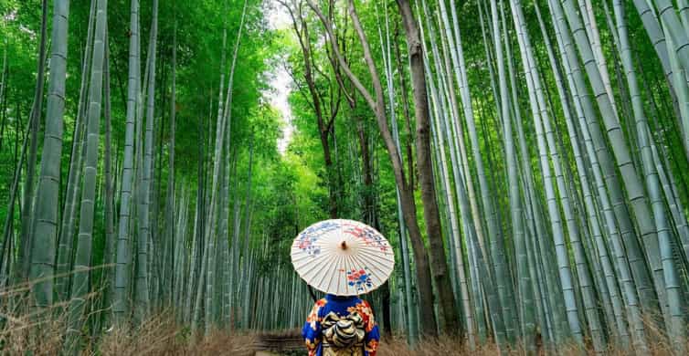 Kyoto/Osaka: Nara, Fushimi Inari Taisha, Arashiyama Bus Tour photo 3