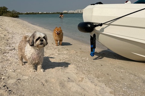 Abu Dhabi: Private Small Boat Rental (No License Required) Abu Dhabi: Small Boat 2 Hour Rental (No License Required)