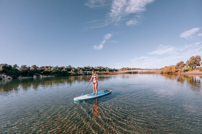 Kingscliff: Paddleboard and Mindfullness in the Mangroves