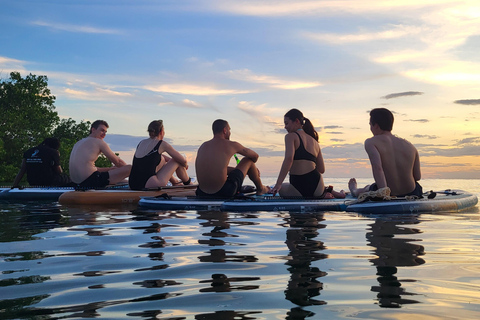Zanzibar: Unik guidad mangrovetur med SUP eller kajak
