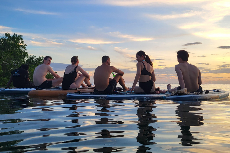 Zanzibar: Unik guidad mangrovetur med SUP eller kajak