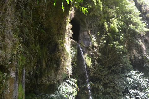 Sao Miguel Hike to Janela do Inferno and Lagoa do Fogo