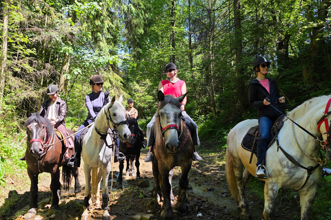 Zakopane: Tatra Mountains Horseback Ride & Thermal Baths