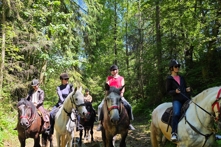 Zakopane: Tatra Mountains Horseback Ride & Thermal Baths