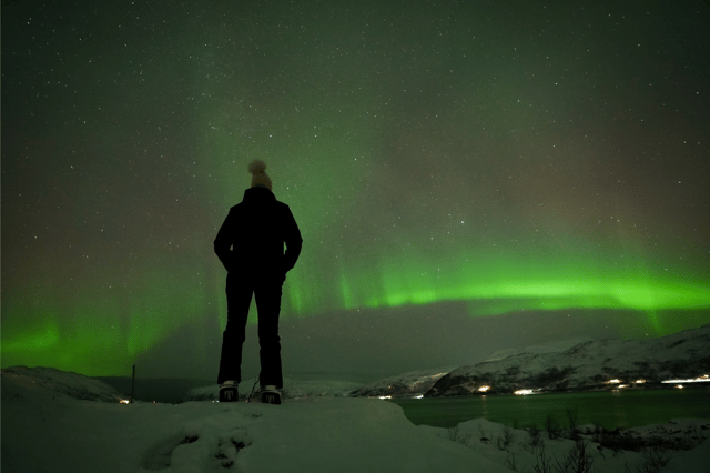Tromsø: Northern Lights Bus Tour with Snacks and Photos