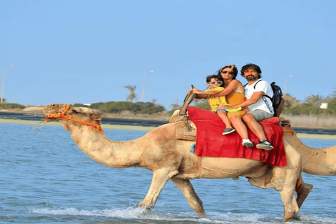Djerba: Discover the Lagoon and the Countryside by Camel, Horse, or Carriage
