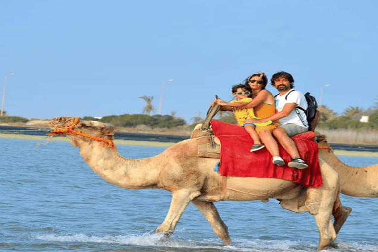 Djerba: Discover the Lagoon and the Countryside by Camel, Horse, or Carriage