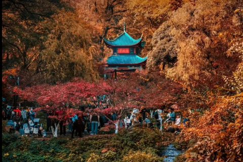 5 Days 4 Nights In-depth Group Tour in Zhangjiajie
