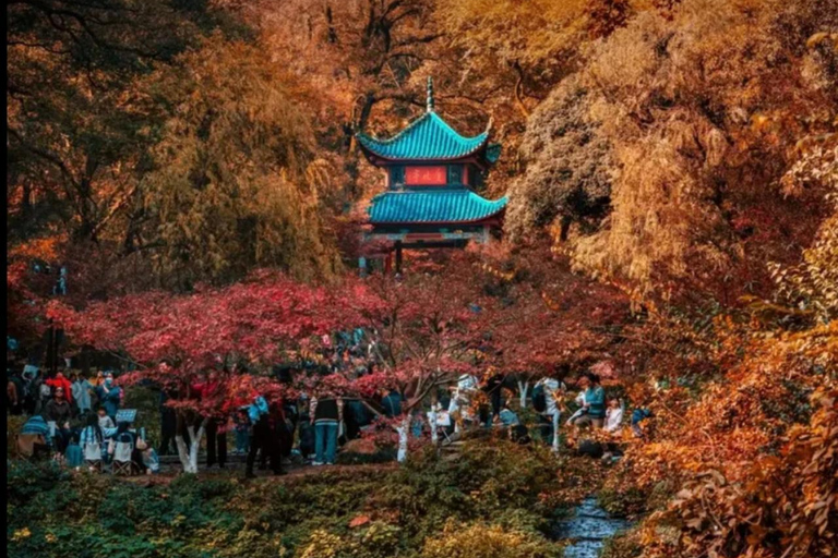 5 Days 4 Nights In-depth Group Tour in Zhangjiajie