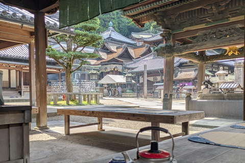 Nara: Mt. Ikoma Guided Hiking Tour with Cable Car and Views