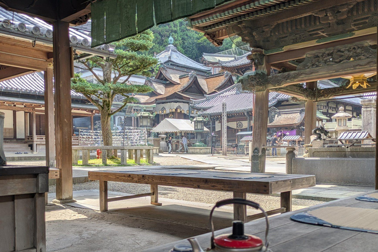 Nara: Mt. Ikoma Guided Hiking Tour with Cable Car and Views