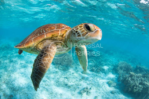 Fast Boat Transfer: Lombok/Gili Islands to Nusa Penida, Bali Gili Air to Serangan
