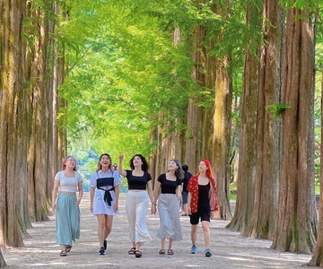 Seoul: Nami, Petite France, Italian Village, Railbike Option