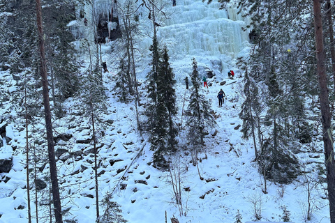 Rovaniemi: Korouoma Frozen Waterfall Hike with BBQ