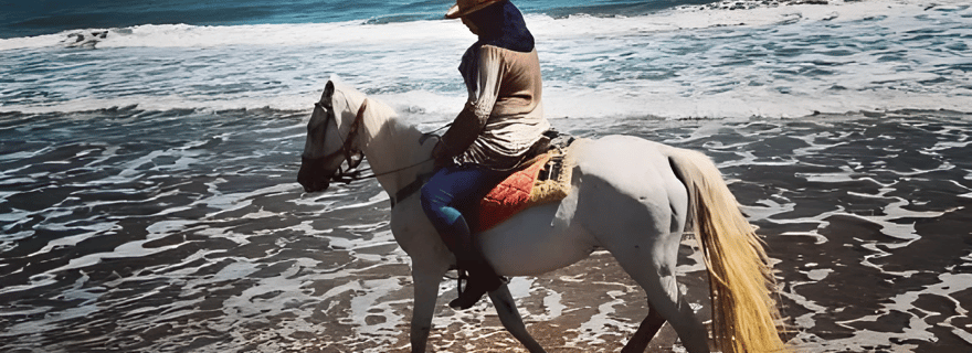 Excursion d'une journée en Algérie : plongée avec tuba et équitation avec déjeuner