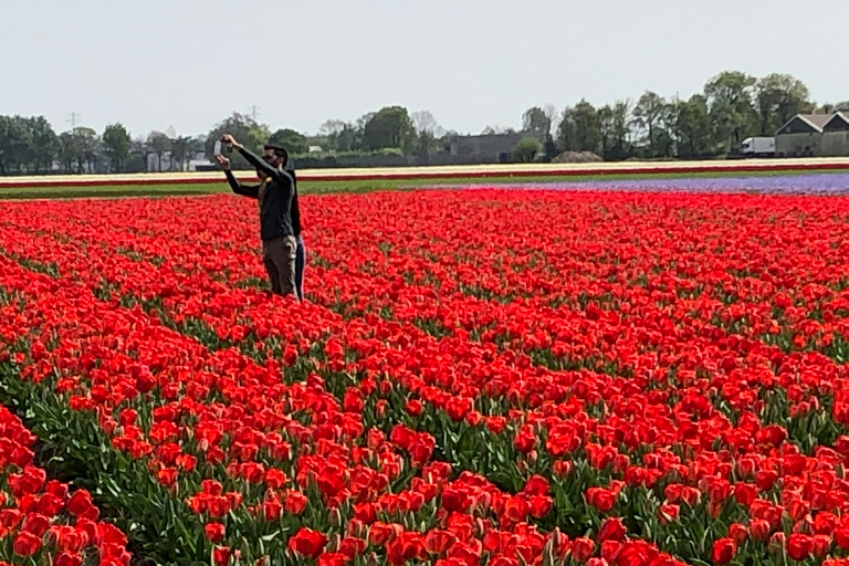 Keukenhof, fazenda de tulipas, campos de flores e Delft Blue