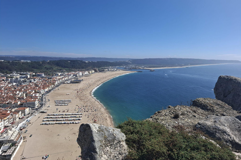 Lisbon to Porto with Óbidos-Nazaré-Fátima-Coimbra-Aveiro 3 STOPS