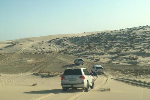 Doha: Safari privato della città e del deserto con giro in cammello